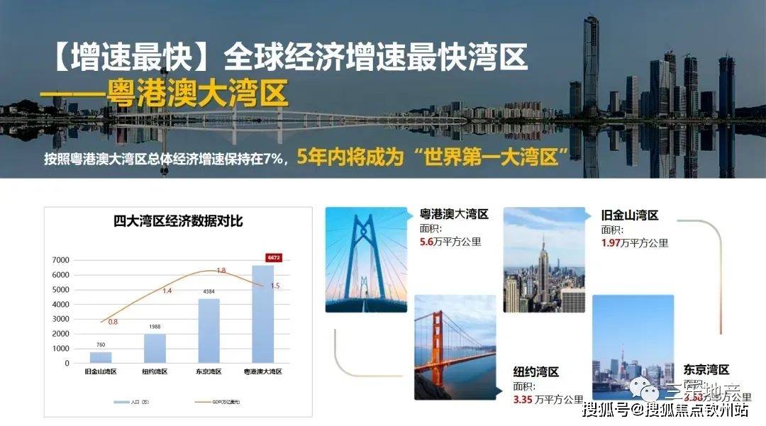 新澳2025最新资料大全第044期详细解析与探讨，从数字洞察未来趋势的奥秘新澳2025最新资料大全044期39-12-8-1-3-24T:36