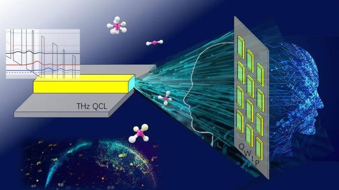 新澳2025最新资料大全与科学分析解析—幼儿园在安庆的发展展望新澳2025最新资料大全|科学分析解析说明 幼儿园 安庆.