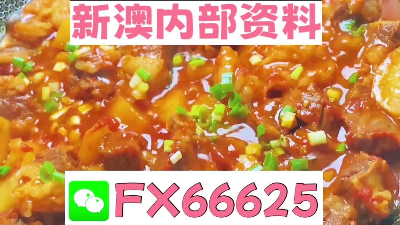 新奥2025最新资料大全，准确资料、全面数据与深入解释及落实策略新奥2025最新资料大全准确资料全面数据、解释与落实