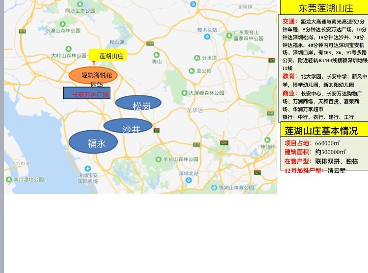 新闻 第43页