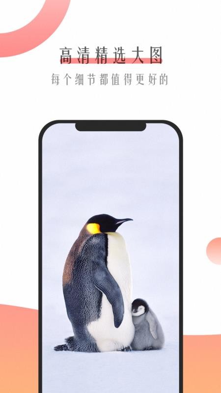 管家婆一码一肖，全新官方APP下载安装指南（IOS与安卓通用版）管家婆一码一肖100准(官方)APP下载安装IOS/安卓通用版/