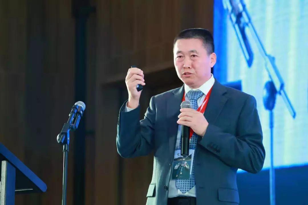 全民喜欢，解析2025新奥最新资料大全，落实策略与行动2025新奥最新资料大全精选解析、落实与策略 全民喜欢